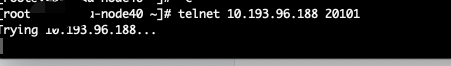 telnet test port